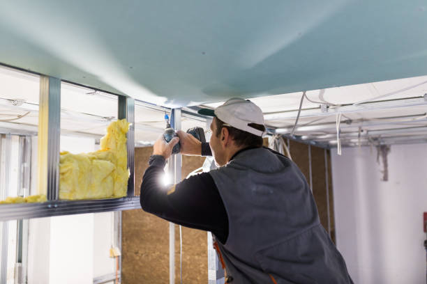 Best Insulation Repair Services  in Peculiar, MO