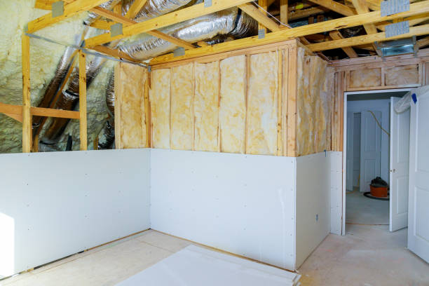 Best Spray Foam Insulation  in Peculiar, MO
