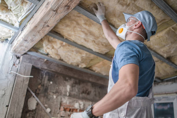 Best Insulation Replacement Services  in Peculiar, MO