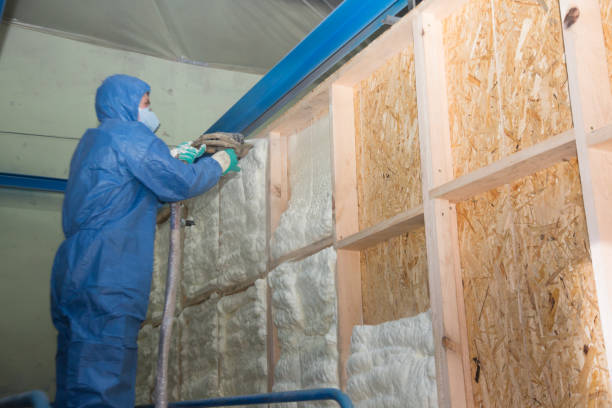 Best Fiberglass Insulation  in Peculiar, MO