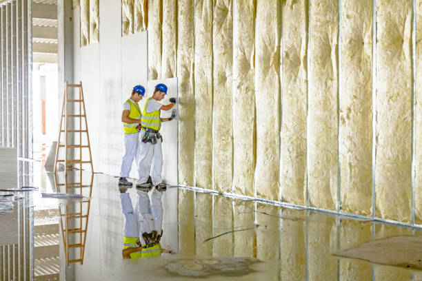 Best Home Insulation Services  in Peculiar, MO